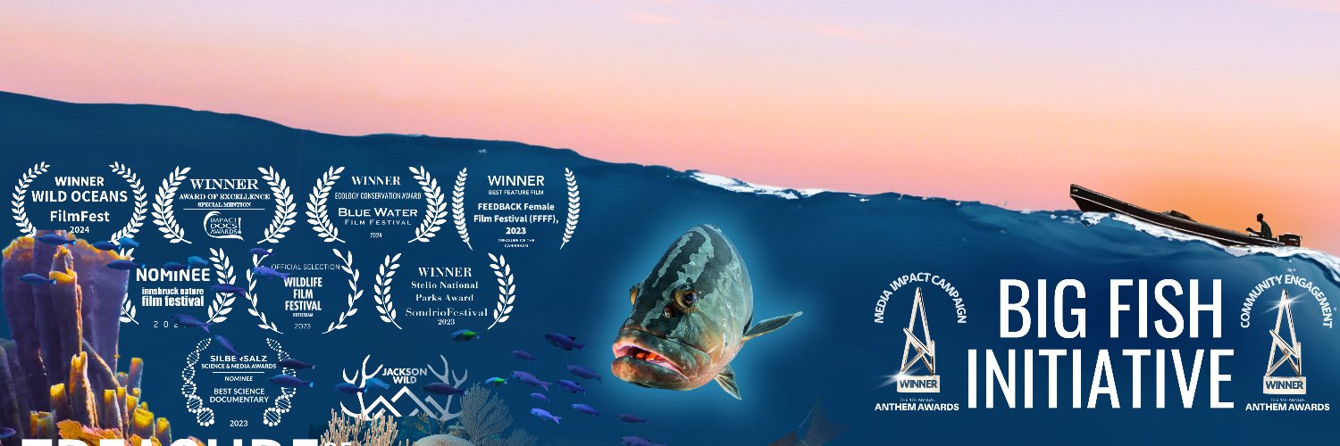 BigFishInit's profile banner image