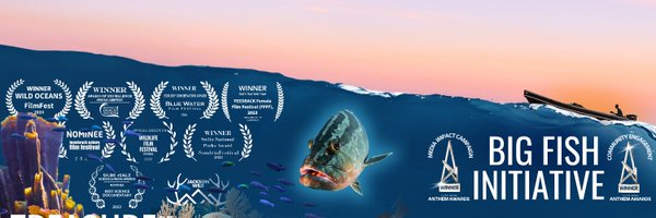 BigFishInit Profile Banner