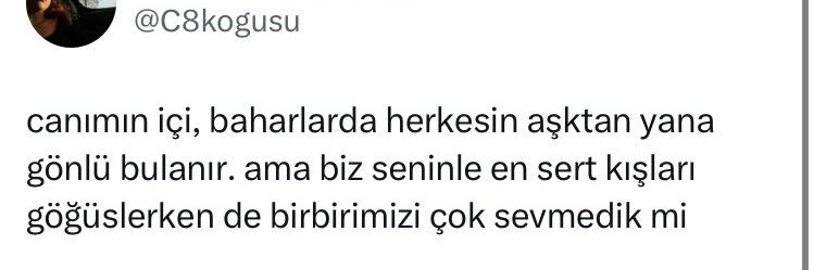 şükufe banner