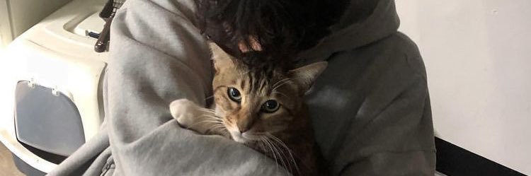 m banner