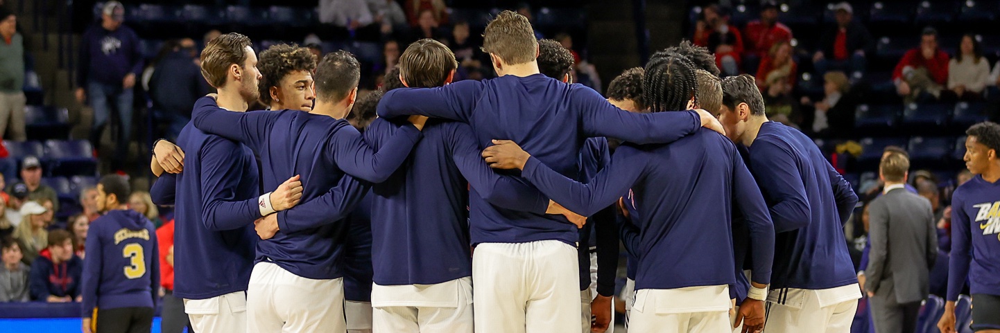 The Spiders’ Collective banner