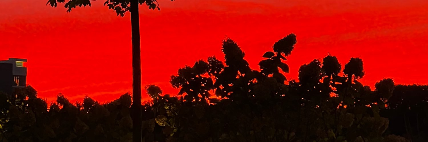 Timothy F. Cullen banner