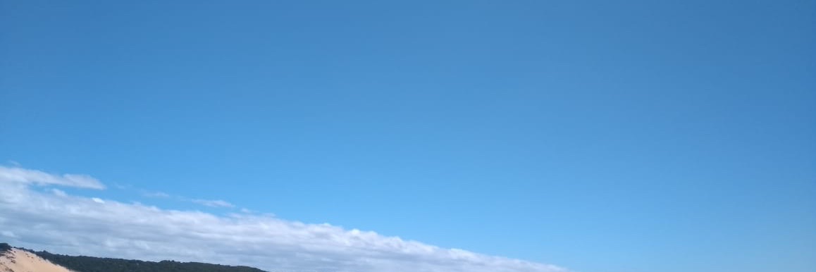 sa7979948's profile banner image