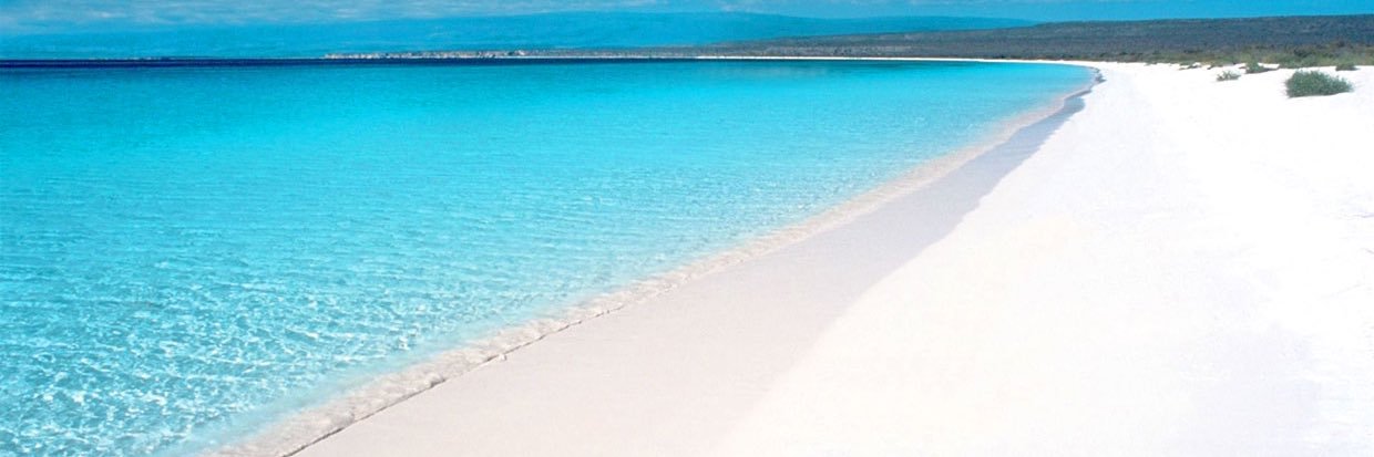 Giselle Jansen de Bermúdez 🇩🇴🇩🇴 banner