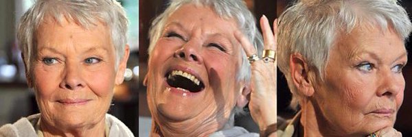 JudiDenchNews Profile Banner