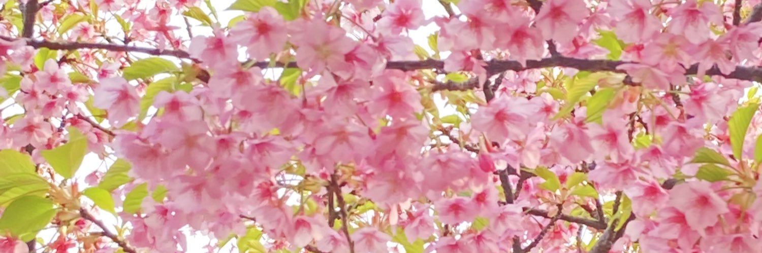 gorogoro54's profile banner image