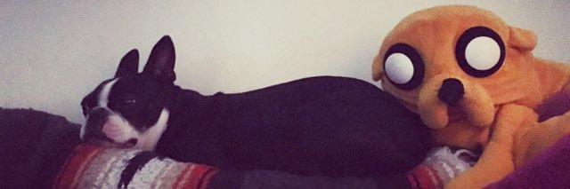 quechas's profile banner image