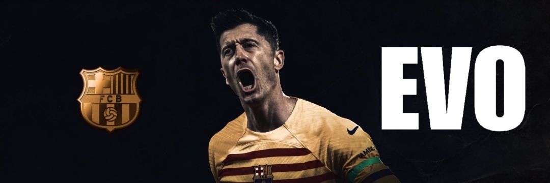 _evo_ili's profile banner image