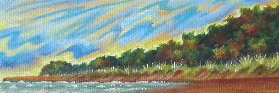 American J.Rolland 🤙 banner