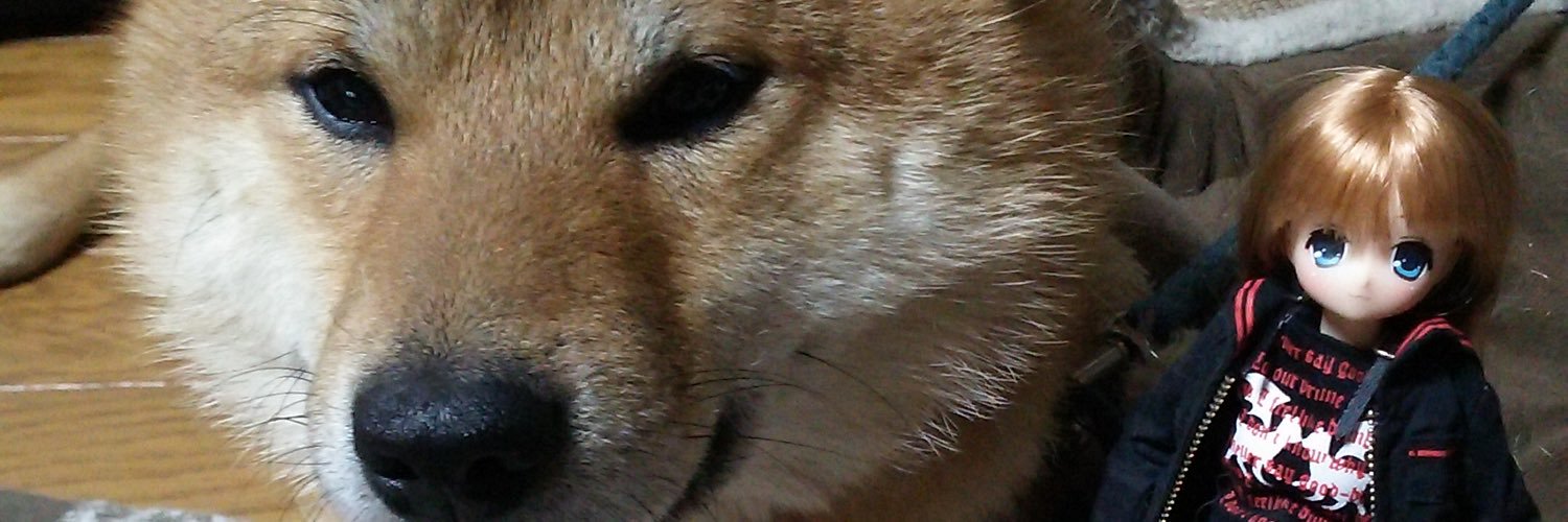 bearbeartyan's profile banner image