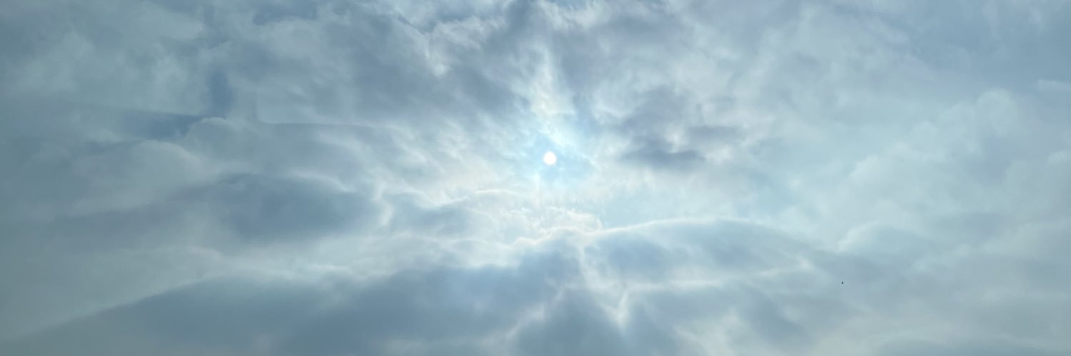 datlittleone's profile banner image