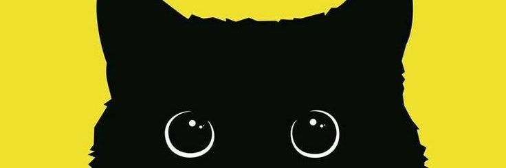 HanifTewe's profile banner image