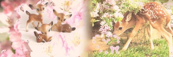sekaiiangi's profile banner image