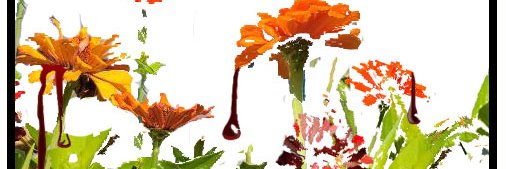 IleneDudek's profile banner image