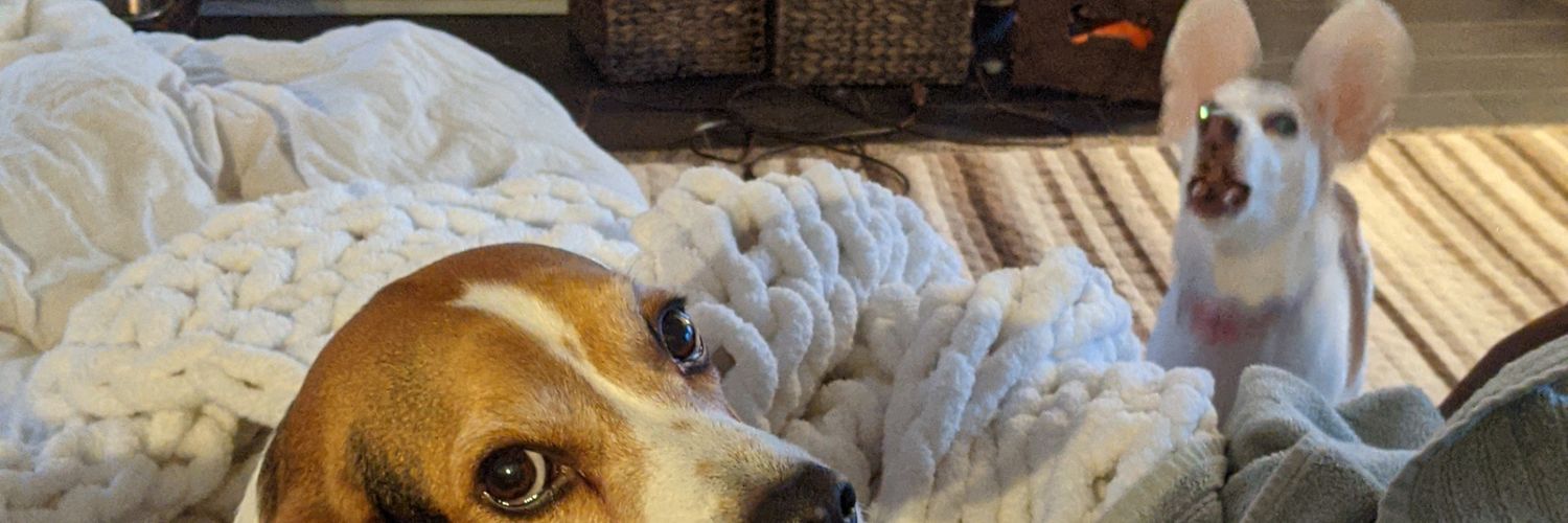 Jello and Hankface 🌈🌈😇😇 banner