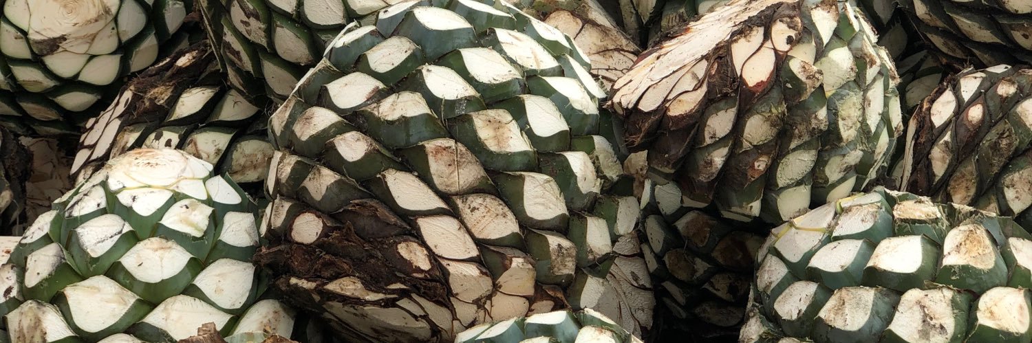 Reservas Tequila banner