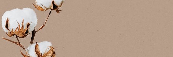 selcordero's profile banner image