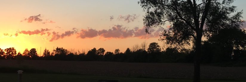lil_wascha's profile banner image