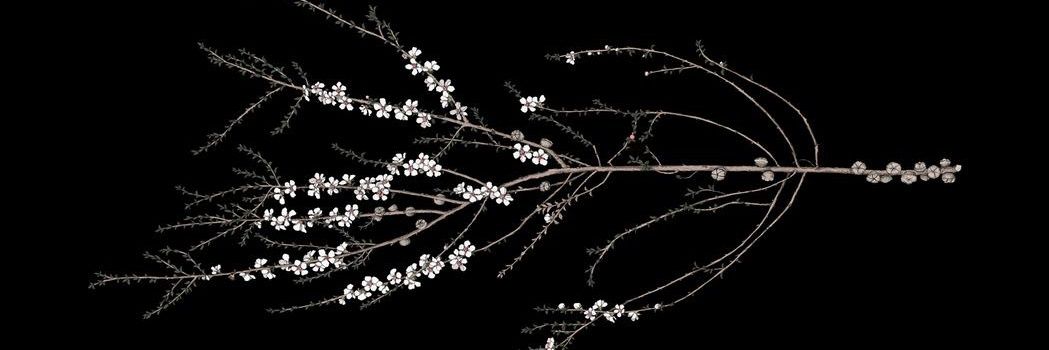 neru_brth's profile banner image