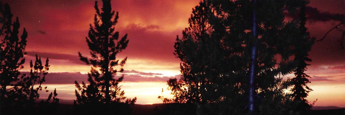 mlister's profile banner image