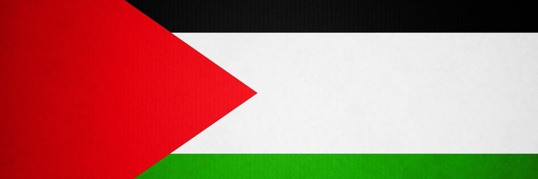 sandrazamb34735's profile banner image