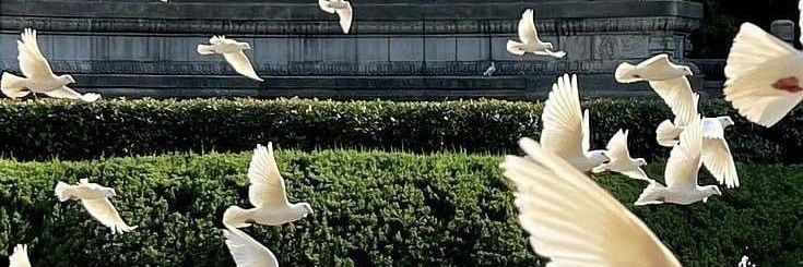 Oplik_'s profile banner image