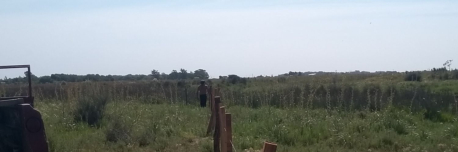 amaritodlc2's profile banner image