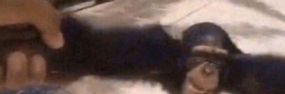 markerrs's profile banner image