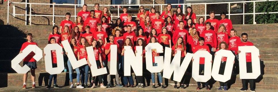 WoodFreshers's profile banner image