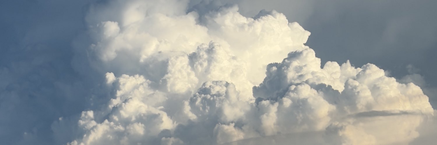 𝐋𝐨𝐮𝐢𝐬 ☾ banner