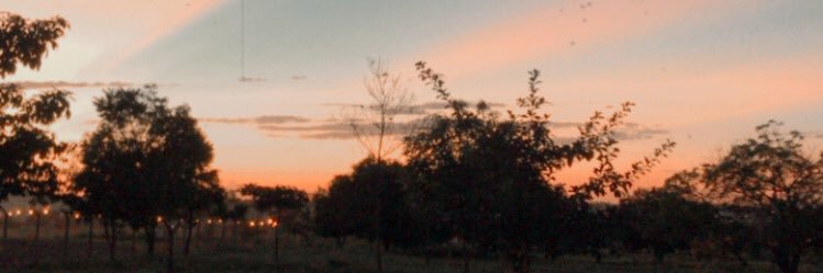 PoxaaNatche's profile banner image