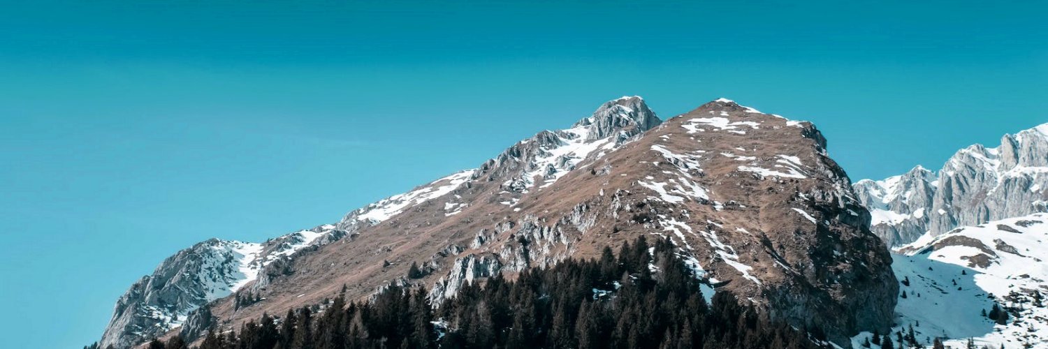 Anthony Bailey banner