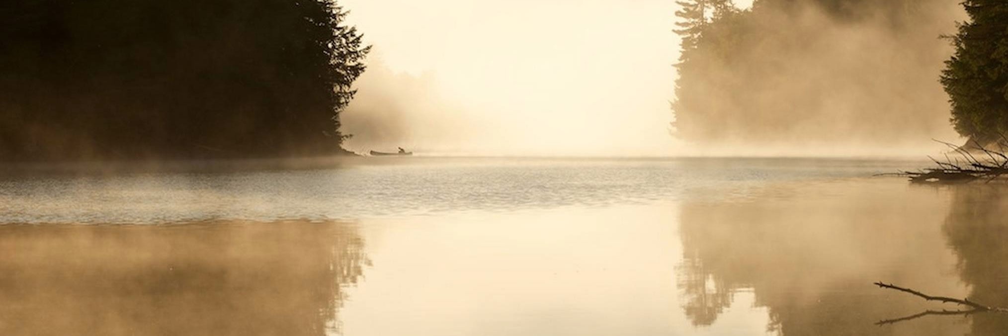 curatorsam's profile banner image
