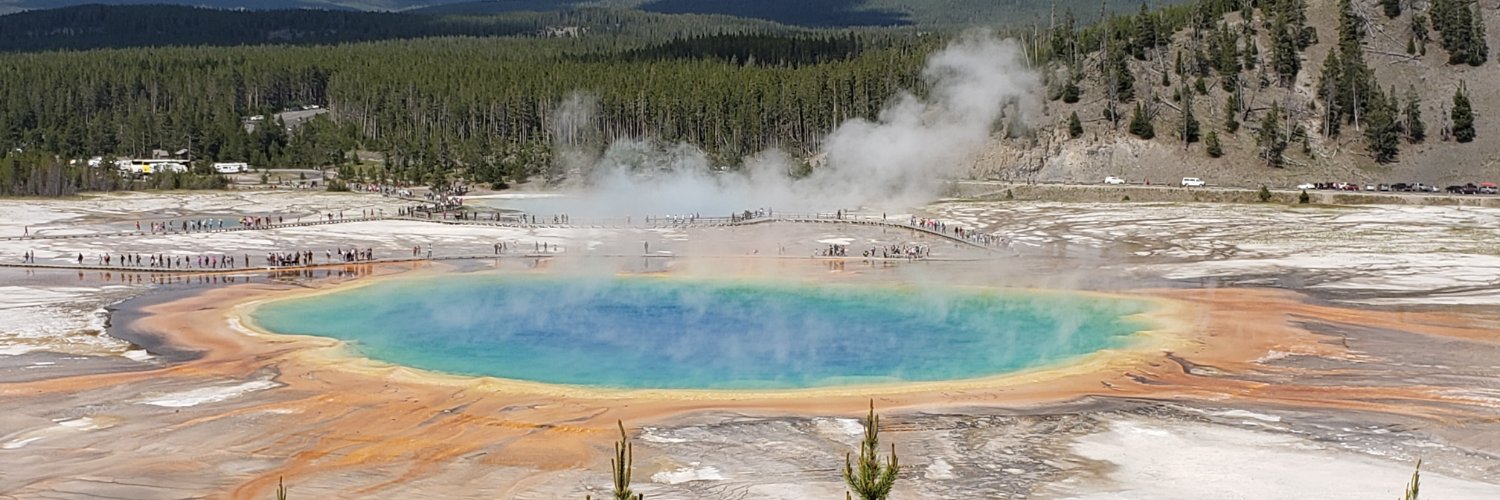 Light Beings Observer banner