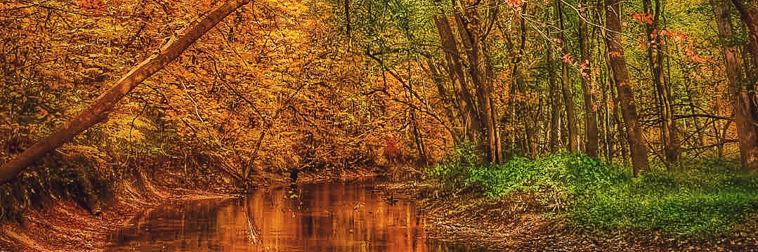 lisaTorre75's profile banner image