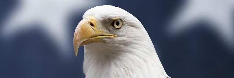 opeoniye's profile banner image