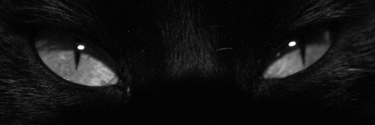 sfunkissed's profile banner image