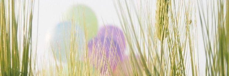 Manonali2's profile banner image