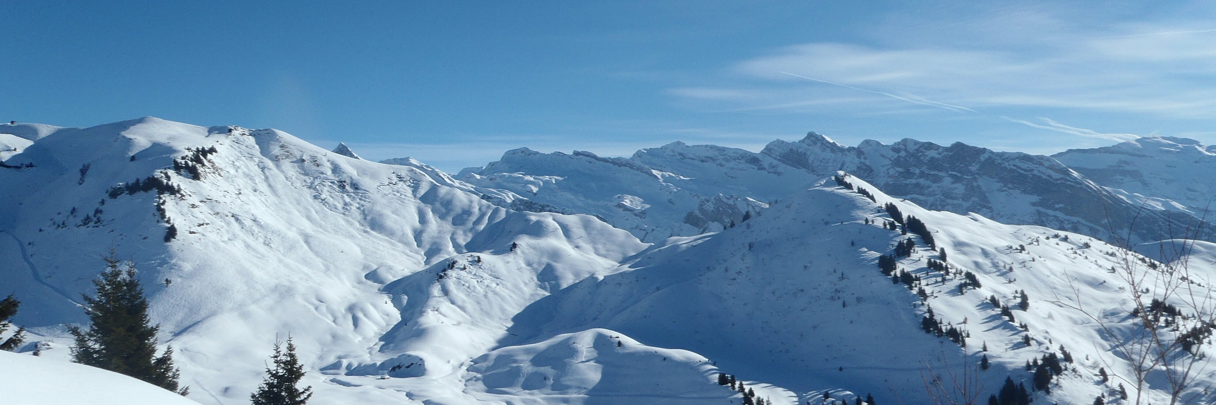 VirginieMarchon's profile banner image
