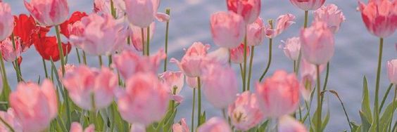 - 💓 banner