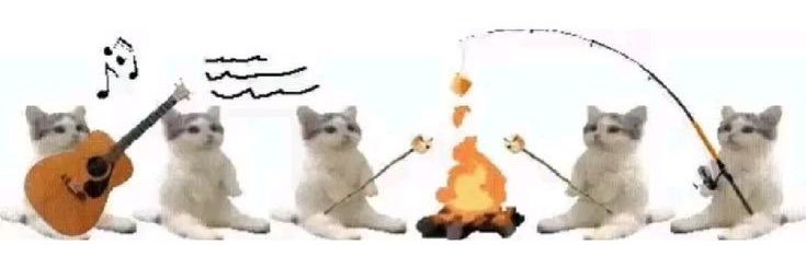 🍪 dm, notif ga masuk banner