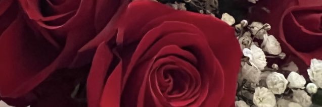 DyteMonique's profile banner image