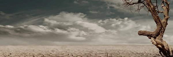 CMARN_network Profile Banner