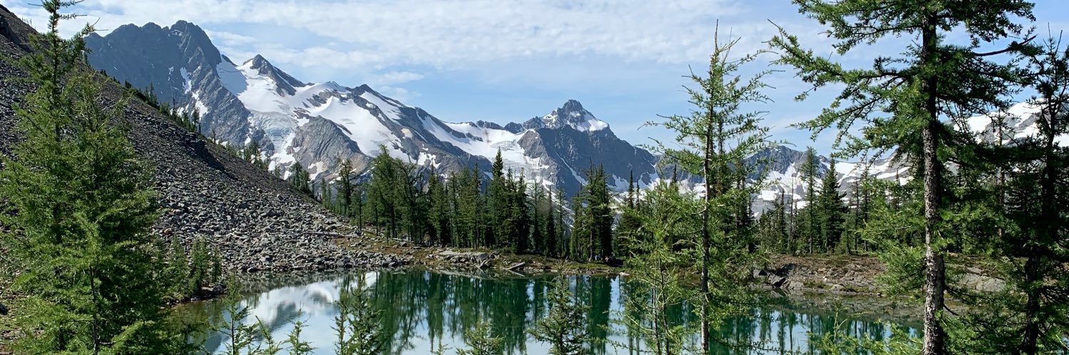 Marcy Levy Shankman banner