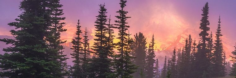 J_Zai banner