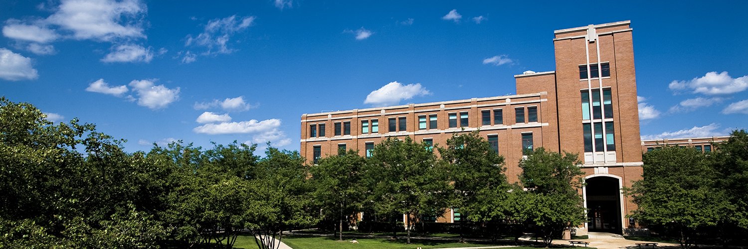 DePaul University Library banner