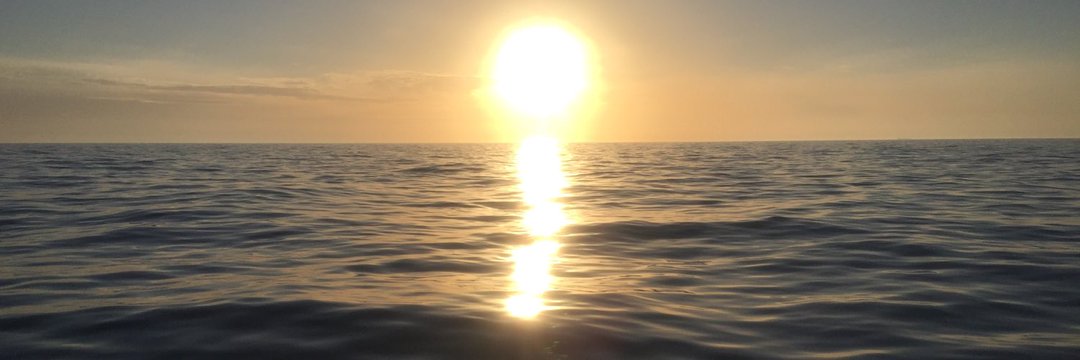ashleyalison6's profile banner image