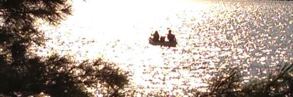 schmidtcity Profile Banner