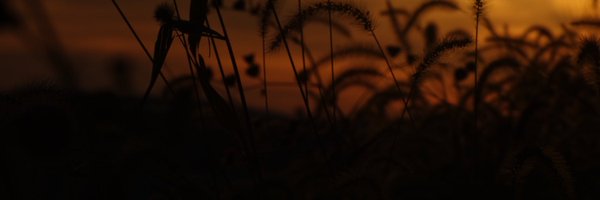 joemmac Profile Banner