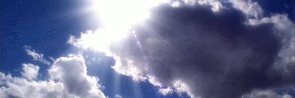 toebahbee 💎🌿🗿🪶 banner